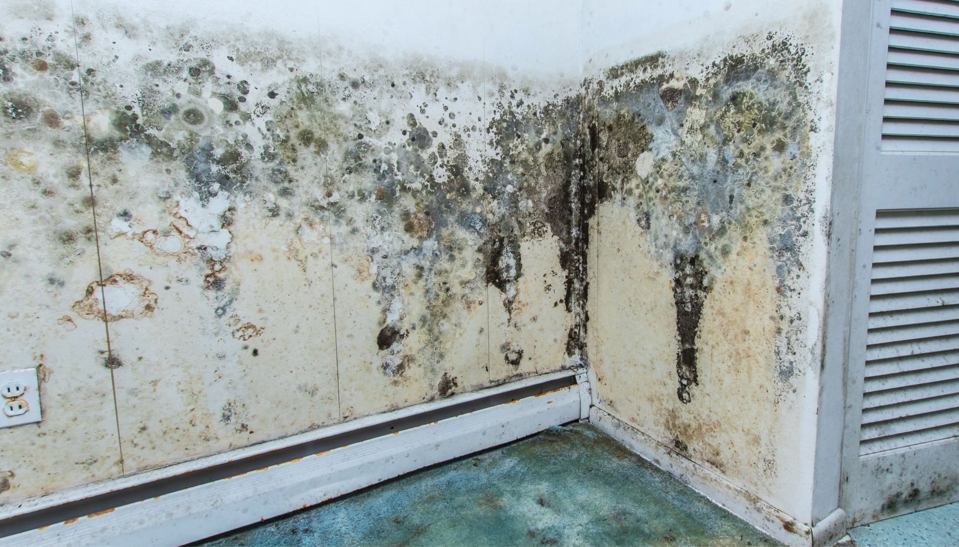 Professional mold removal, odor control, and water damage restoration service in Matthews, North Carolina.